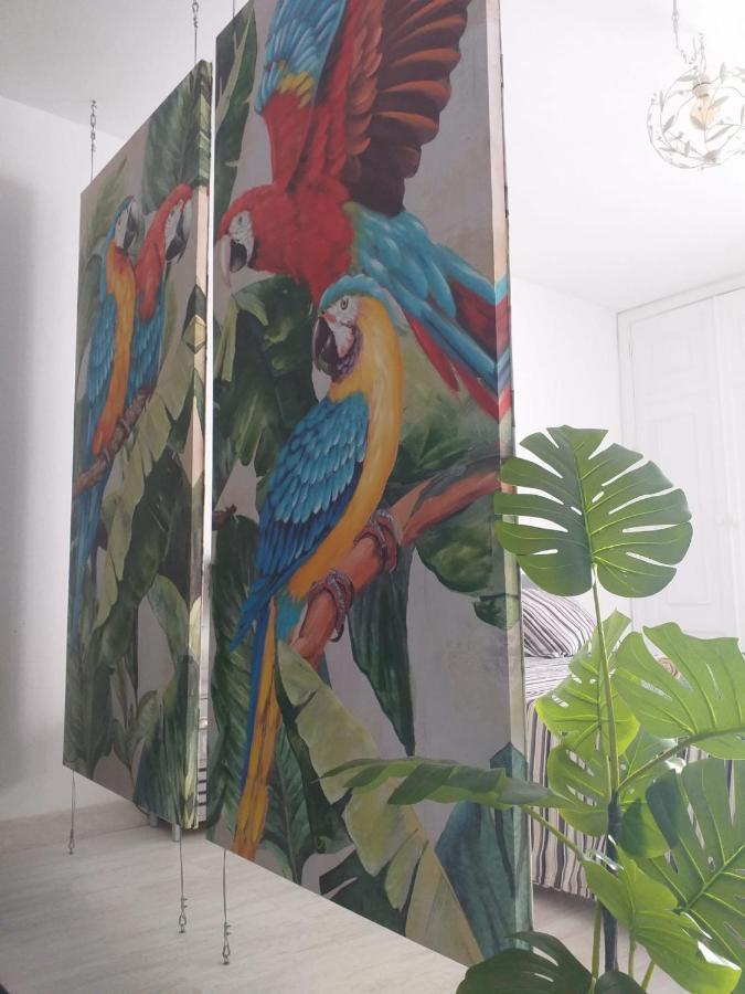 Tropical Loft Διαμέρισμα Κοραλέχο Εξωτερικό φωτογραφία